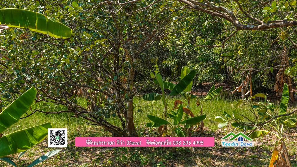 ขายสวนผลไม้ ทำเลดี ใกล้แหล่งท่องเที่ยว ขนาด 1-2-94 ไร่ ต.สาริกา อ.เมือง จ.นครนายก