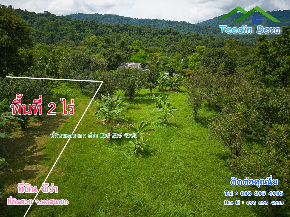 ที่ดินนครนายก สวนผลไม้ 2 ไร่ มีต้นพะยูง ต้นสักทอง ทุเรียน กาแฟ อยู่ใกล้เขื่อนขุนด่าน ต.สาริกา อ.เมือง จ.นครนายก