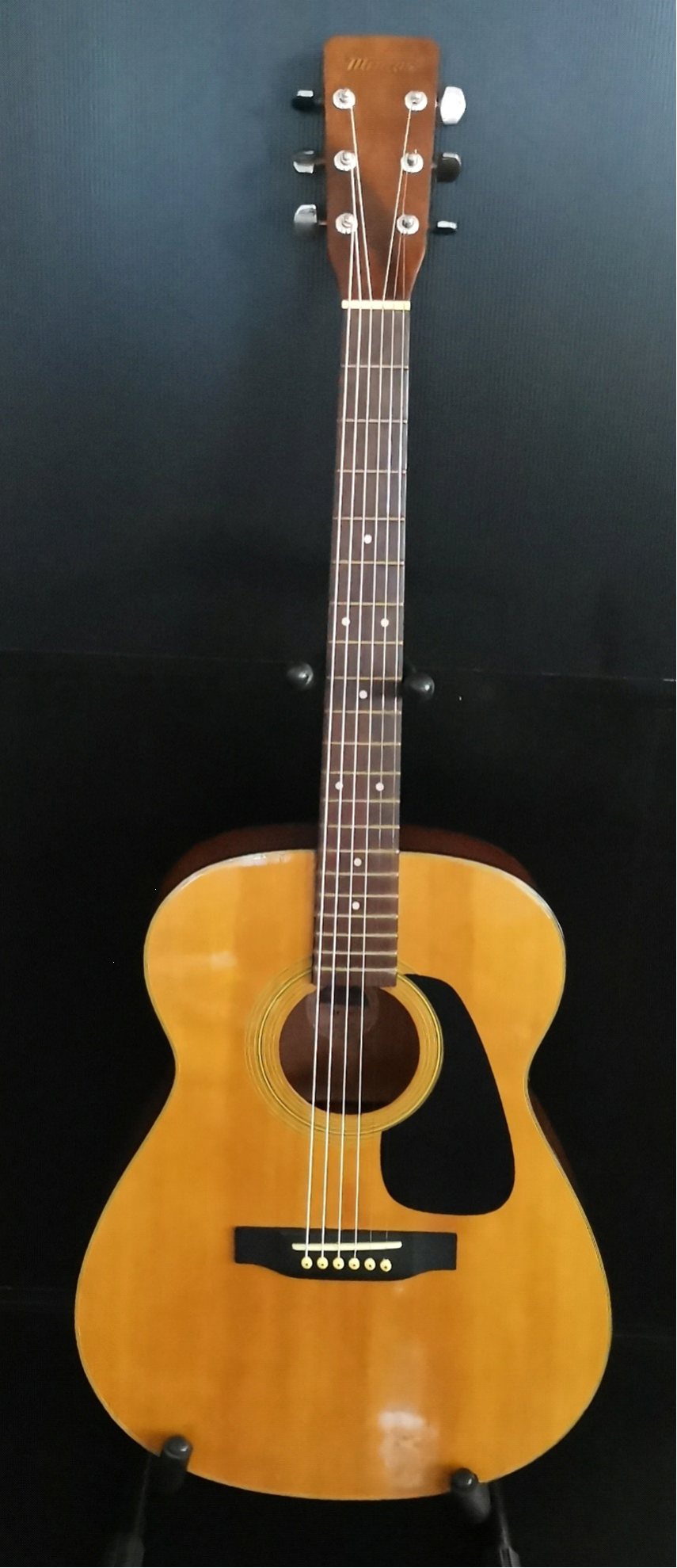 GUITAR : MORRIS MF 201 N