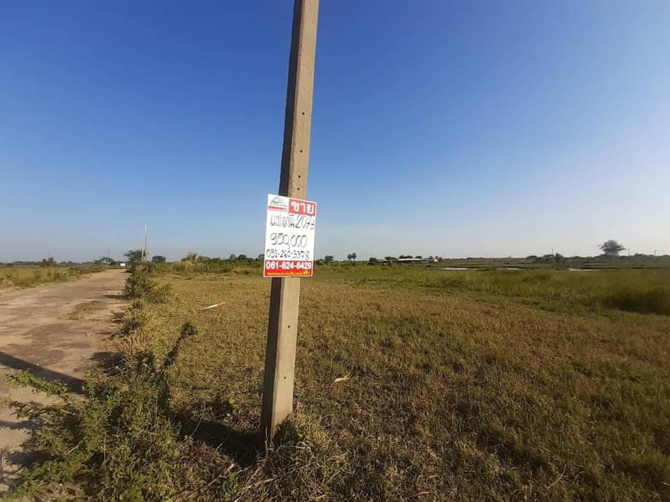 ขายที่ดินถูกมากๆ ที่ดินเปล่าหนองจอก เลยผดุงพันธ์ 28 เพียง 3,807/วา( N.258)