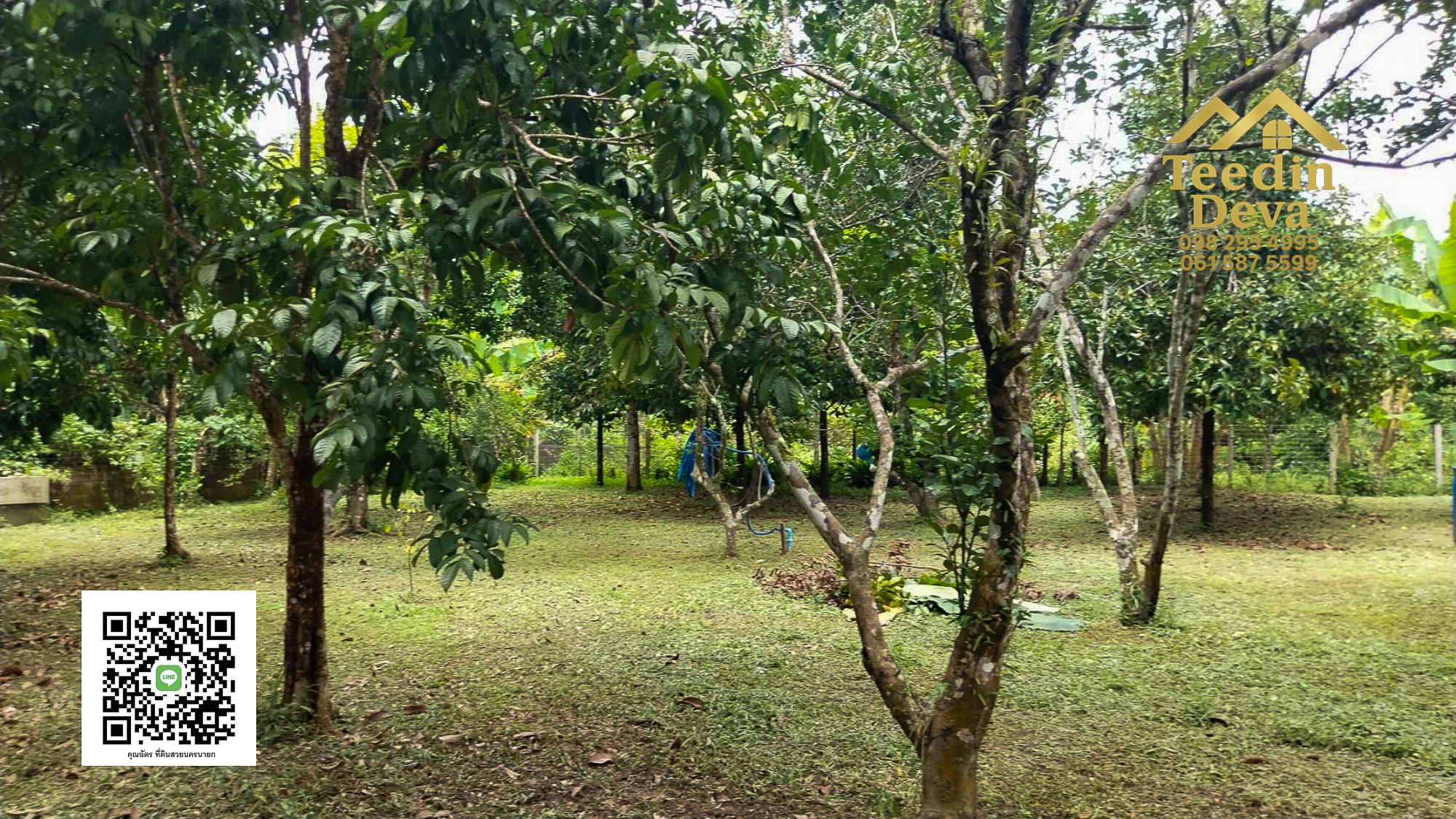 🌿 บ้านสวนในฝัน พร้อมอยู่ ใกล้เขื่อนขุนด่าน เนื้อที่ 1 ไร่ ต.สาริกา อ.เมือง จ.นครนายก 🏡