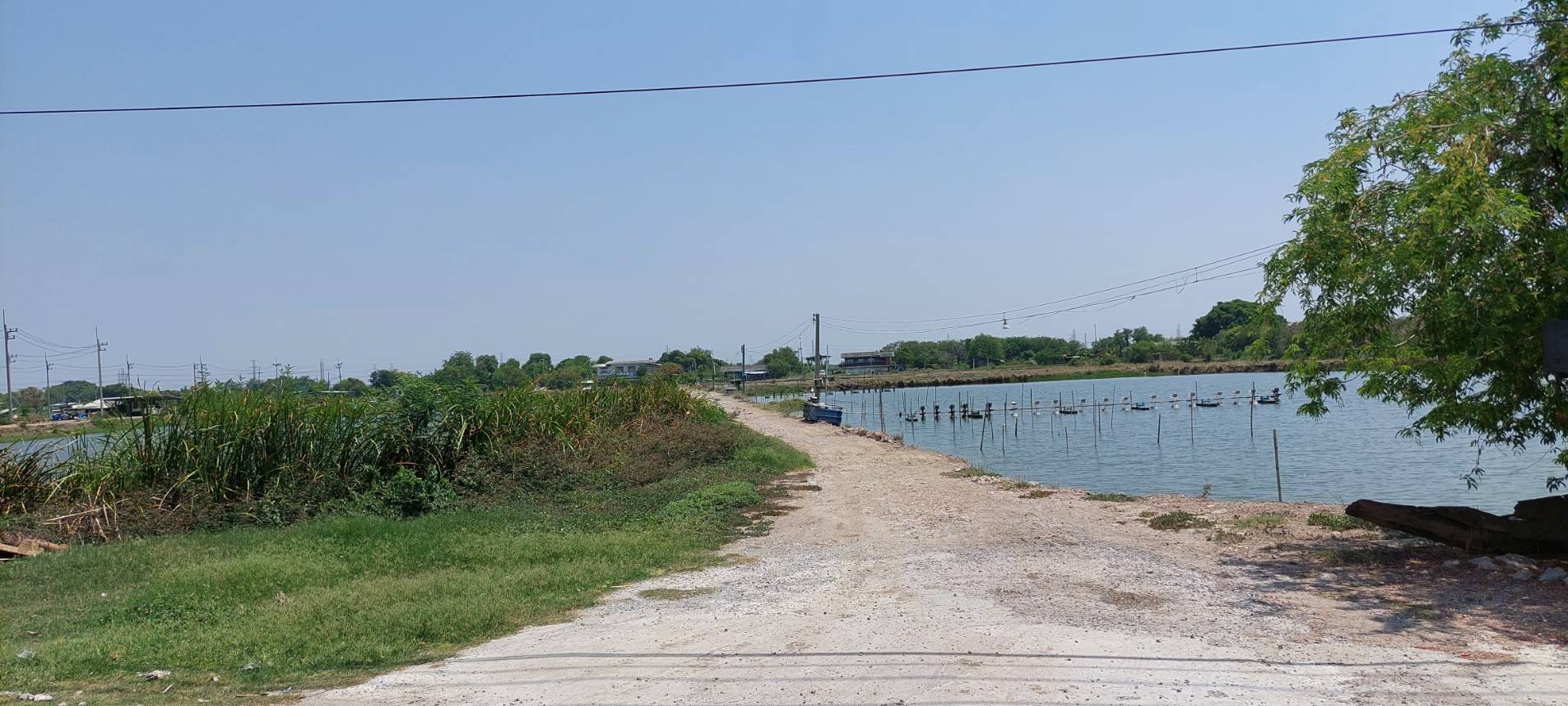 • ขาย ที่ดิน เนื้อที่ 8 ไร่ ถนนจรัญยานนท์ อำเภอบางปะกง ฉะเชิงเทรา • เป็นที่ดินบ่อกุ้ง/บ่อปลา อยู่ติดคลองสำโรง ใกล้ถนนบางนา-ตราด • เหมาะสำหรับธุรกิจบ่อตกปลา/ตกกุ้ง เลี้ยงปลาเลี้ยงกุ้ง หรือร้านอาหาร.