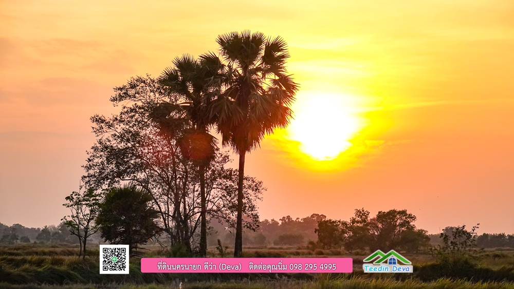 🌿 ที่ดินสวยๆ ขนาด 2 ไร่ พร้อมน้ำไฟ ดินดี น้ำดี อากาศดี มีเพื่อนบ้าน ณ ต.ปากพลี อ.ปากพลี จ.นครนายก