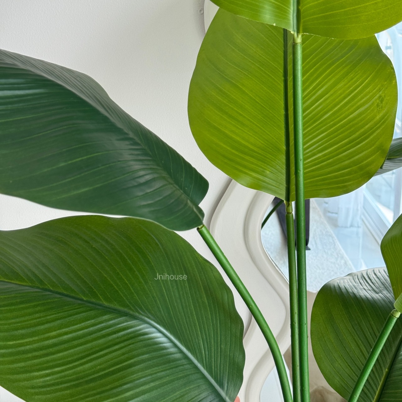 [พร้อมส่ง] Jnihouse : ต้นปักษาสวรรค์ประดิษฐ์(Tree) สูง 170 cm (ใบอ่อน)