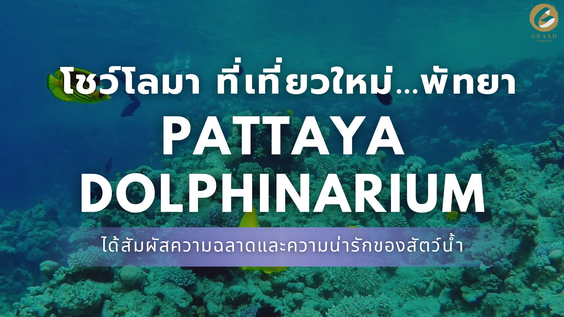 ห้องราคาถูกพัทยาที่พักบางเสร่