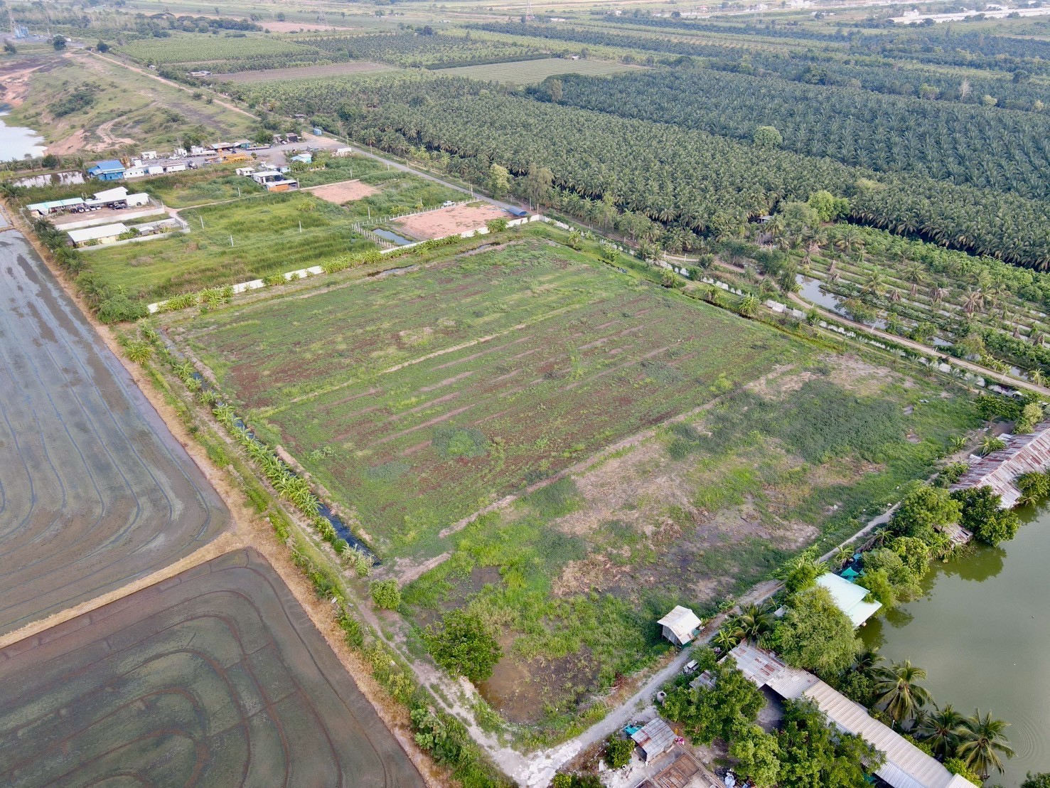 "ที่ดินในฝัน ใกล้กรุงเทพ 🌿 2 ไร่ – คลอง 9 อ.หนองเสือ จ.ปทุมธานี"