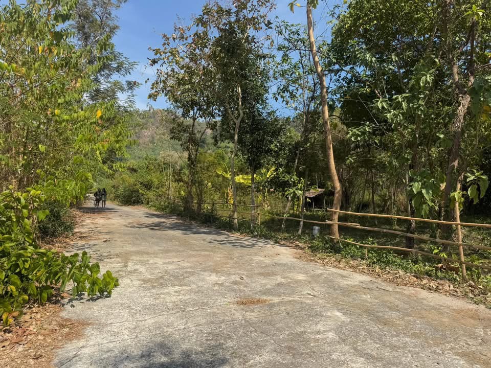 (🔴 ปิดการขาย) ที่ดินนครนายก วิวภูเขา แปลงเล็ก 62 ตร.ว. ต.เขาพระ อ.เมือง จ.นครนายก