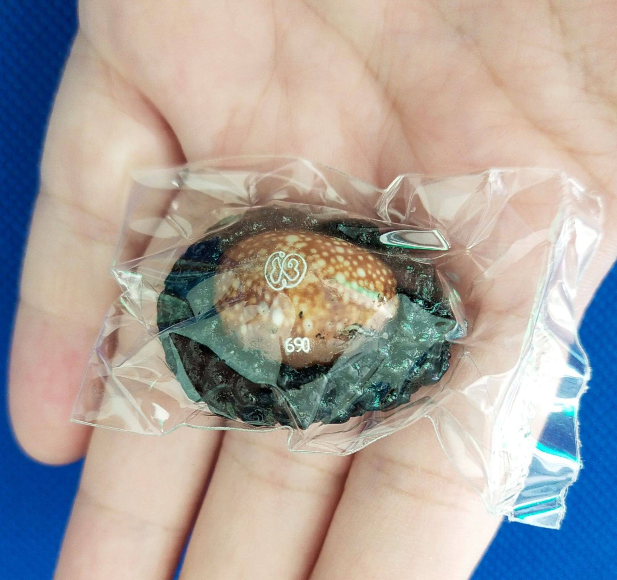 เบี้ยแก้ รุ่นแรก หลวงพ่อพรหม วัดพลานุภาพ จ.ปัตตานี รุ่นแซยิดเศรษฐี 97