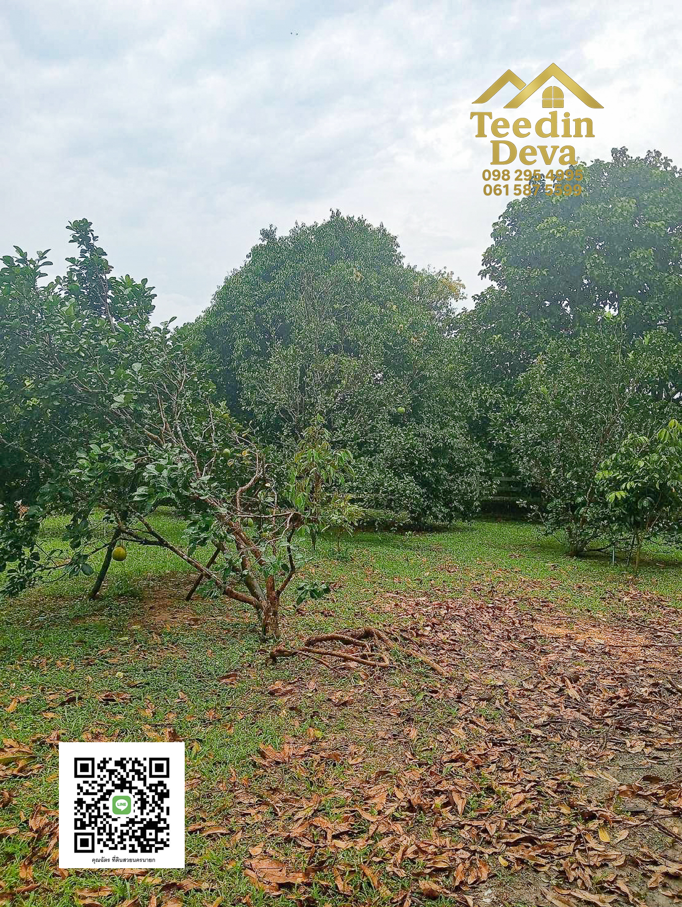 🏡 บ้านสวนผลไม้ในฝัน 1 ไร่ — ต.สาริกา อ.เมือง จ.นครนายก 🍃 อบอุ่น ร่มรื่น วิวสวย อากาศดีทั้งปี 🌿