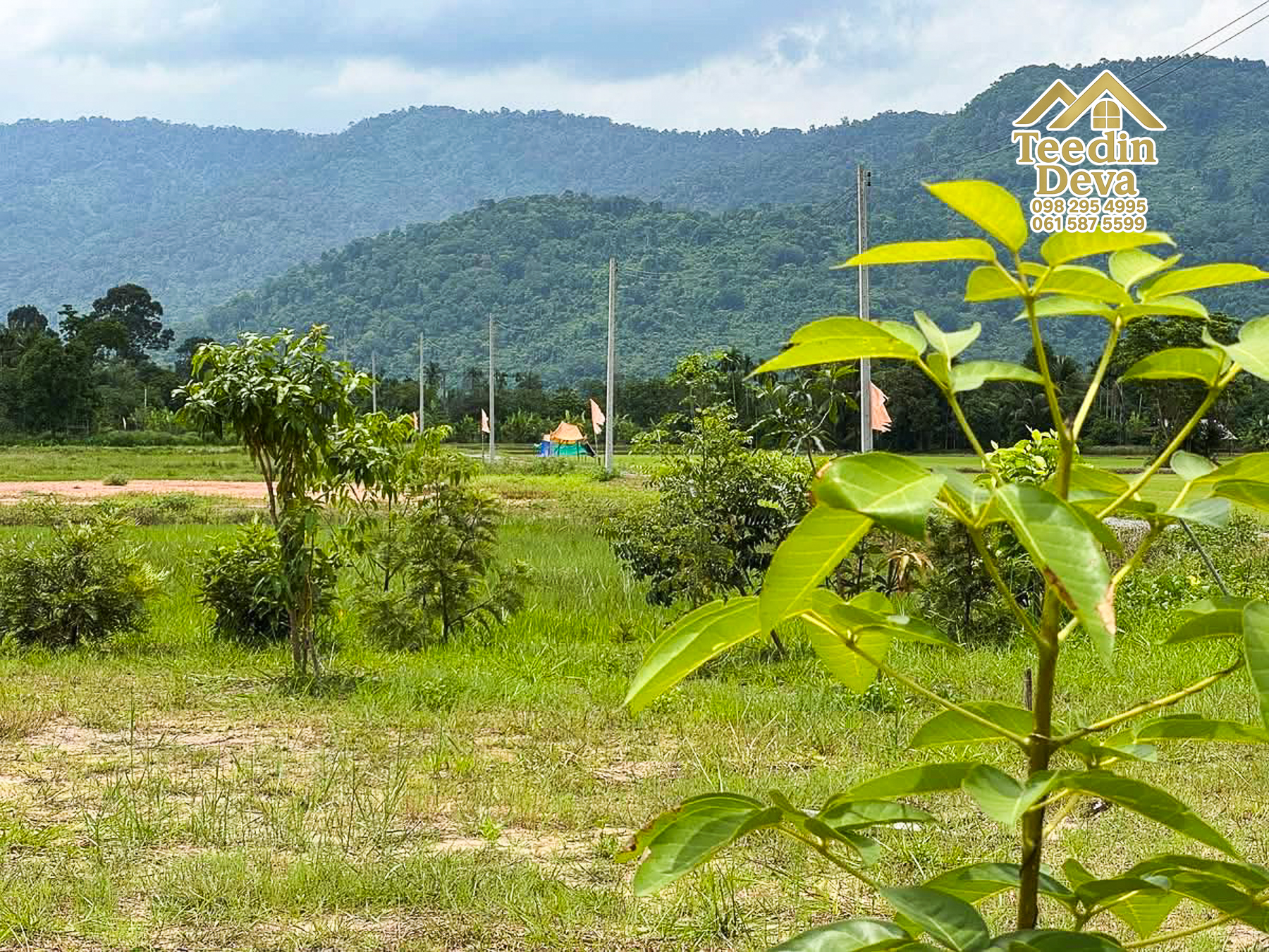 🏞️ ที่ดินวิวภูเขา จุดเริ่มต้นของบ้านในฝัน เนื้อที่ 300 ตารางวา ต.เขาพระ อ.เมือง จ.นครนายก