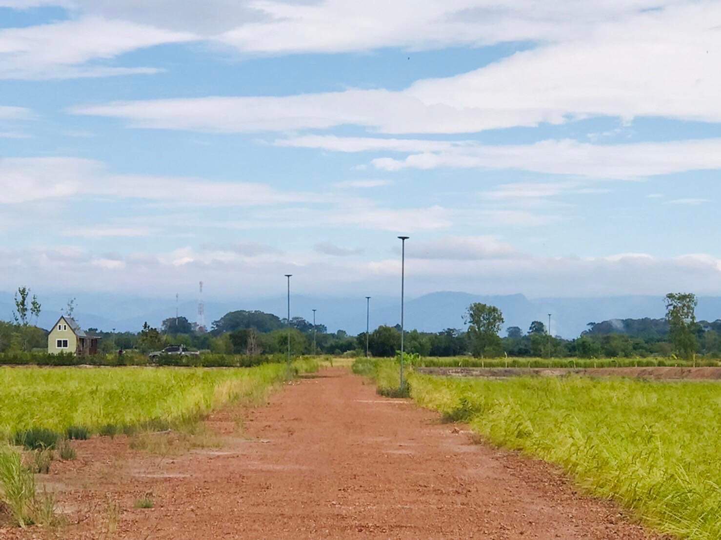🍃 ความสุขแบบพอเพียง... เริ่มได้ที่นี่ ที่ดิน 2 ไร่ เหมาะทำสวนเกษตร อ.ปากพลี จ.นครนายก