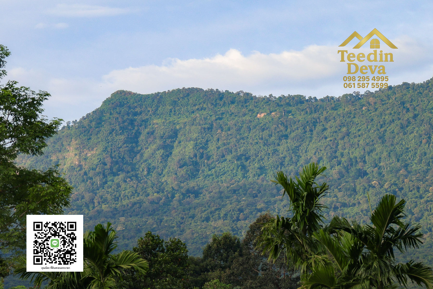 💭 ตื่นเช้าลมเย็น เห็นเขาใหญ่ตรงหน้า... ที่ดินสวนผลไม้ 2 ไร่ 3 งาน ต.นาหินลาด อ.ปากพลี จ.นครนายก