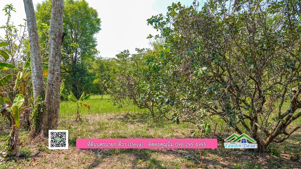 ขายสวนผลไม้ ทำเลดี ใกล้แหล่งท่องเที่ยว ขนาด 1-2-94 ไร่ ต.สาริกา อ.เมือง จ.นครนายก