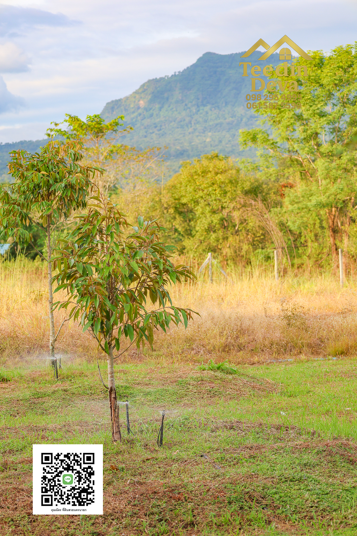 💭 ตื่นเช้าลมเย็น เห็นเขาใหญ่ตรงหน้า... ที่ดินสวนผลไม้ 2 ไร่ 3 งาน ต.นาหินลาด อ.ปากพลี จ.นครนายก