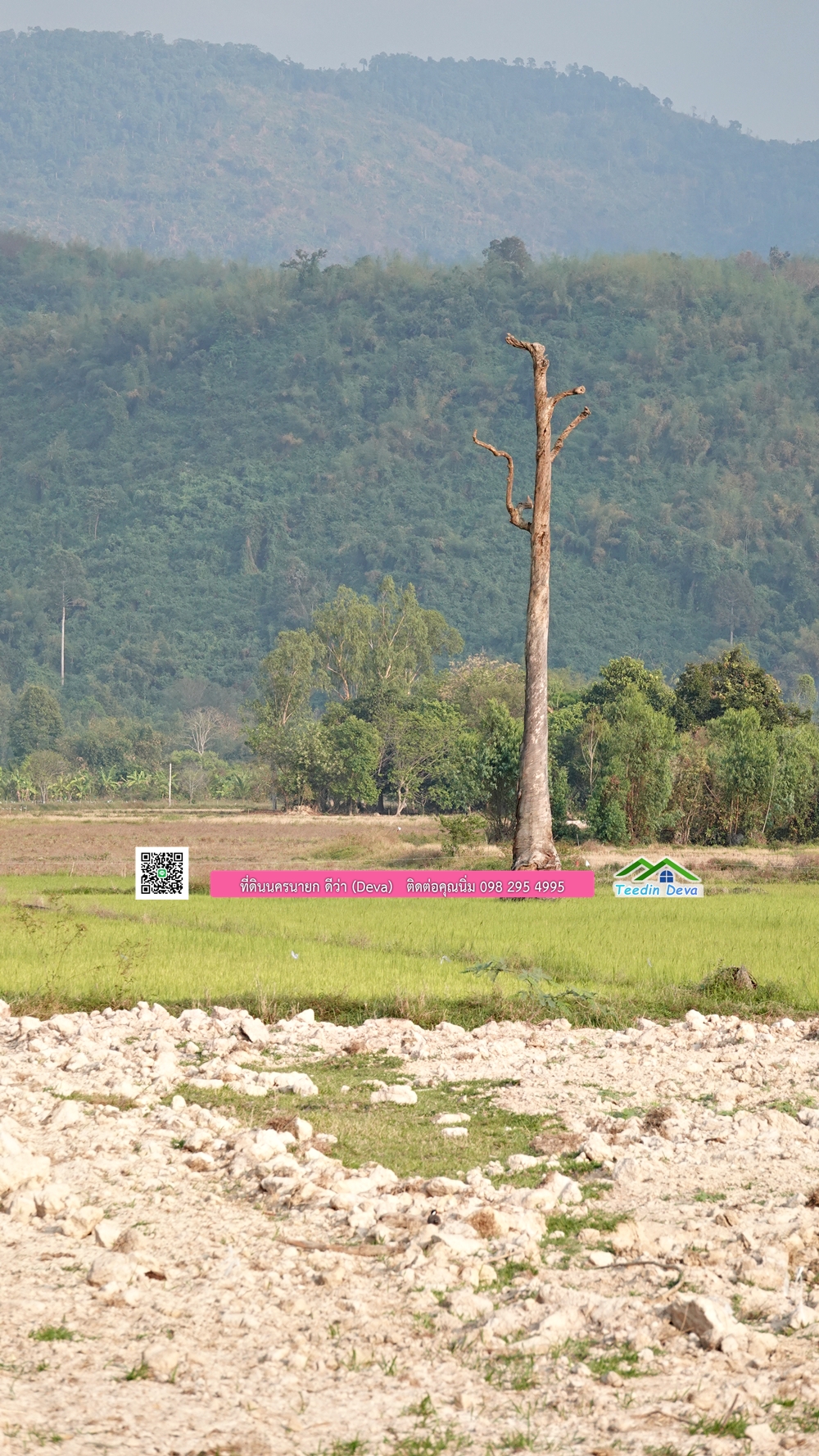 ที่ดินนครนายก วิวทุ่งนาต้นยางสวยๆ ขนาด 4 ไร่ ราคาไร่ละ 1.5 ล้าน ต.เขาเพิ่ม อ.บ้านนา จ.นครนายก