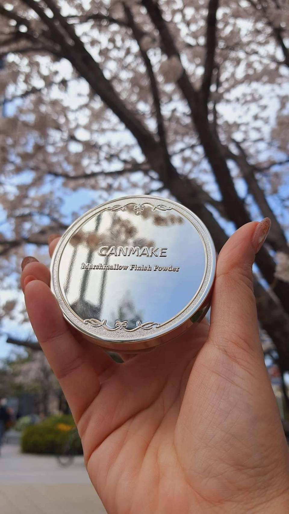 แป้งตลับ CANMAKE Marshmallow Finish Powder SPF19PA++