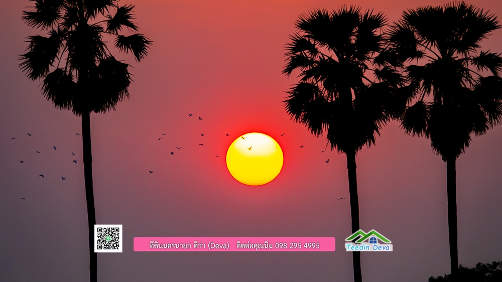 🌿 ที่ดินสวยๆ ขนาด 2 ไร่ พร้อมน้ำไฟ ดินดี น้ำดี อากาศดี มีเพื่อนบ้าน ณ ต.ปากพลี อ.ปากพลี จ.นครนายก