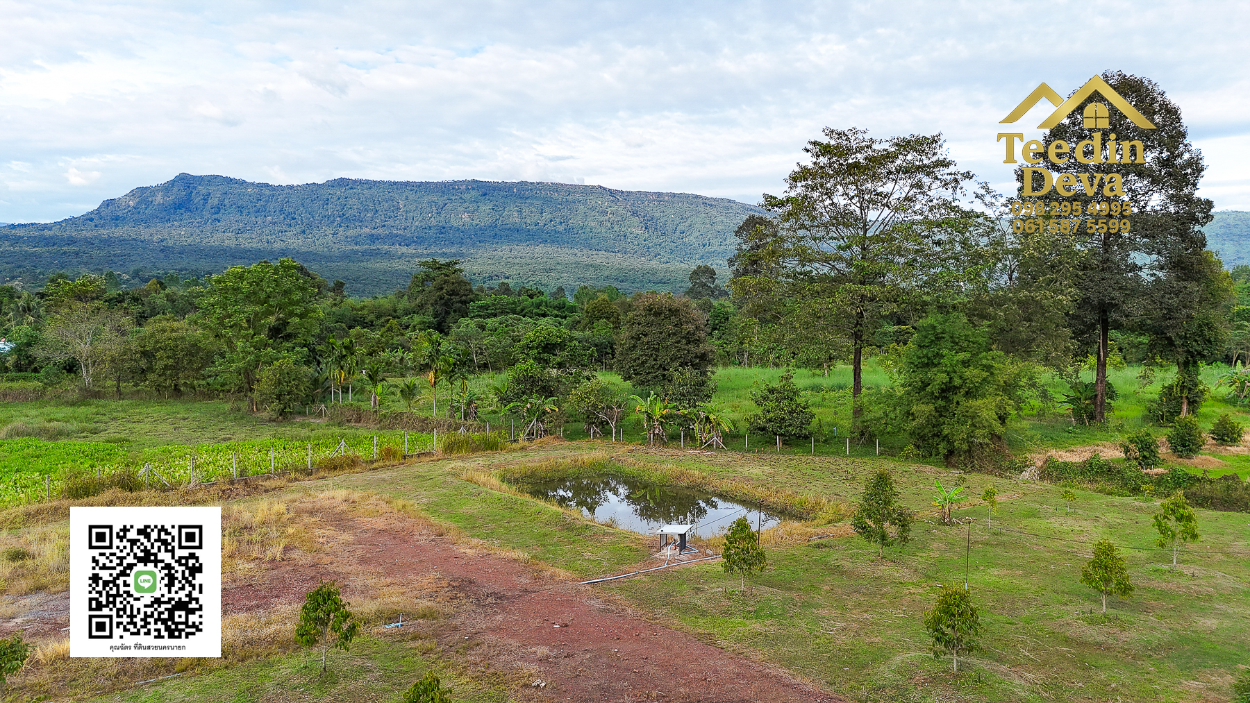 💭 ตื่นเช้าลมเย็น เห็นเขาใหญ่ตรงหน้า... ที่ดินสวนผลไม้ 2 ไร่ 3 งาน ต.นาหินลาด อ.ปากพลี จ.นครนายก