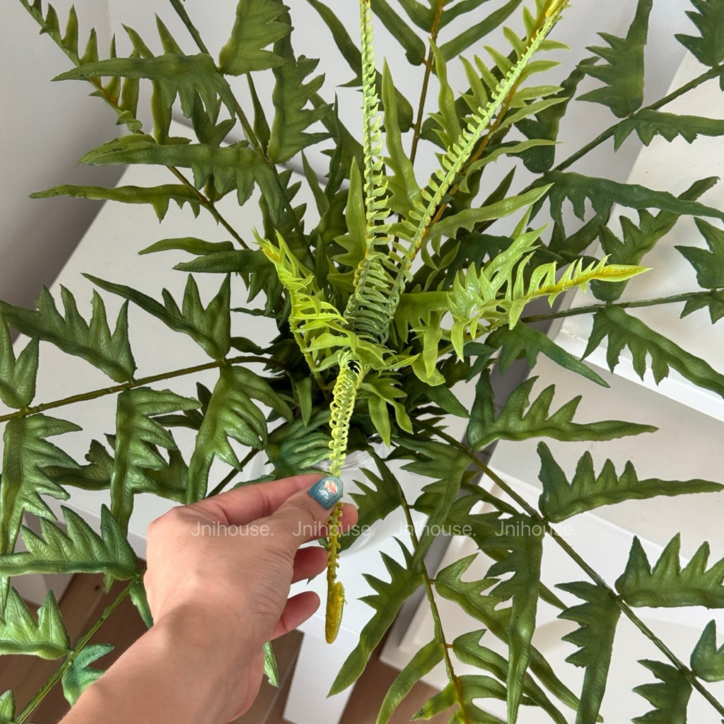 [พร้อมส่ง] Jnihouse : กิ่งเฟิร์นประดิษฐ์ (มีหน่อ)