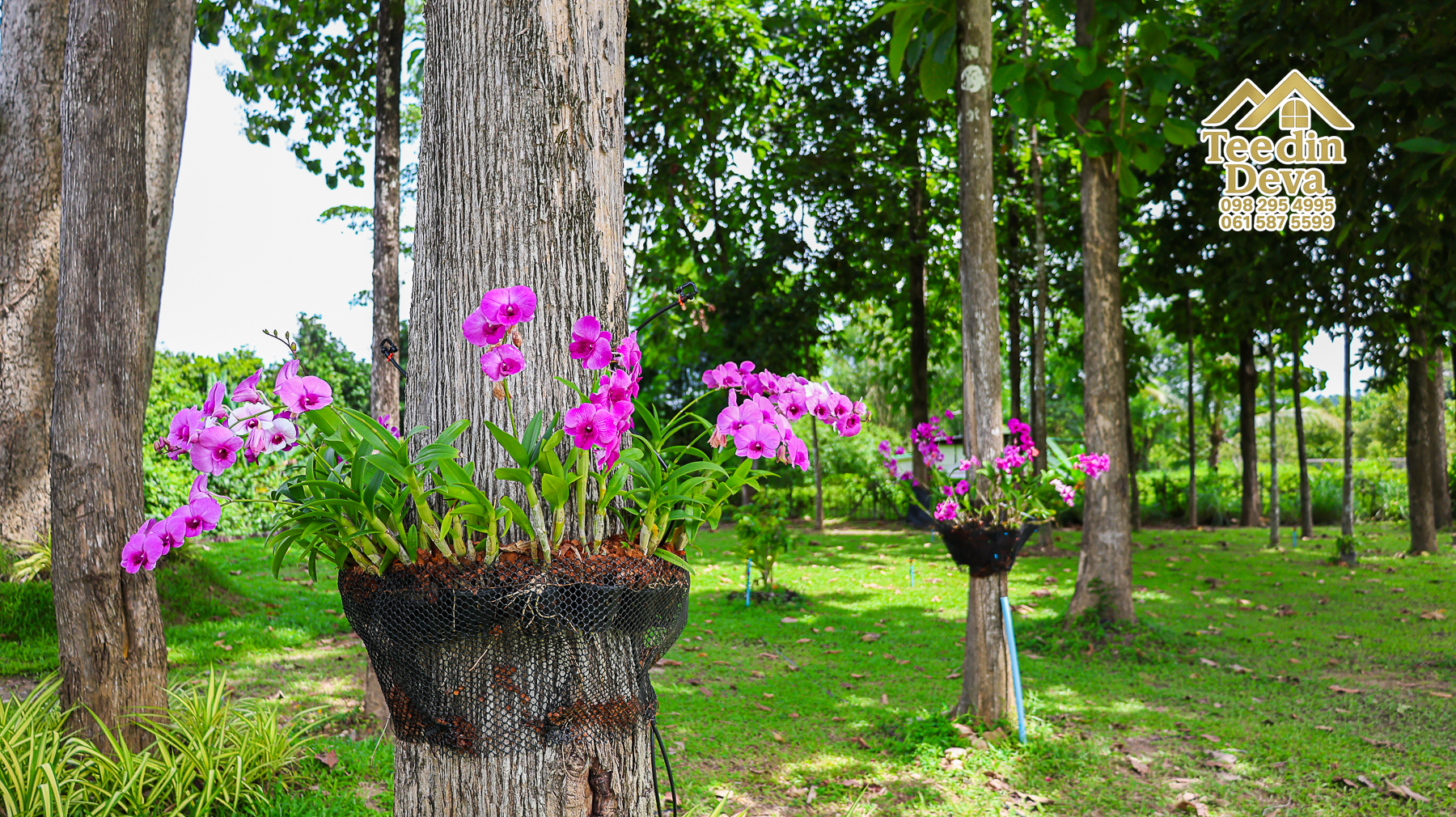 ðŋ āļāđāļēāļāļŠāļ§āļāđāļāļāļąāļ āļĢāļīāļĄāļĨāļģāļāļēāļĢ āļ§āļīāļ§āļ āļđāđāļāļēāļŠāļ§āļĒ â 821 āļāļĢ.āļ§. āļ.āļŠāļēāļĢāļīāļāļē āļ.āđāļĄāļ·āļāļ āļ.āļāļāļĢāļāļēāļĒāļ ðŋ