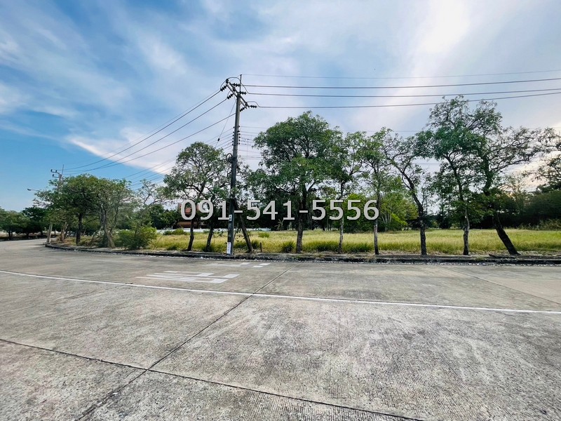 ขายที่ดิน 2 แปลง รูปสีเหลี่ยมคางหมู สนามกอล์ฟวินเซอร์ปาร์ค รวม 2 ไร่ ริมถนนเอกใกล้คลับเฮ้าส์