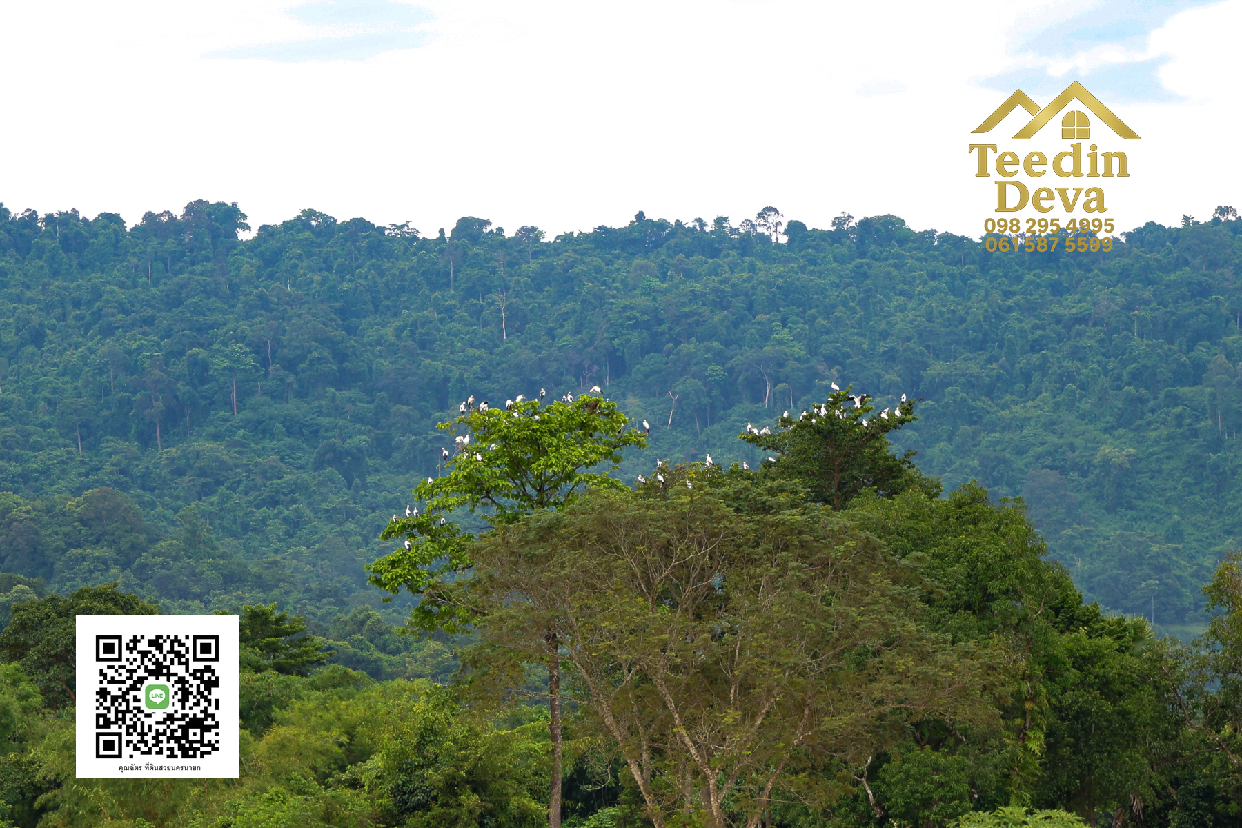 ตื่นเช้ามาพร้อมวิวเขา สูดอากาศบริสุทธิ์ได้ทุกวัน ที่นี่ เนื้อที่ 1 ไร่ ... ต.สาริกา นครนายก