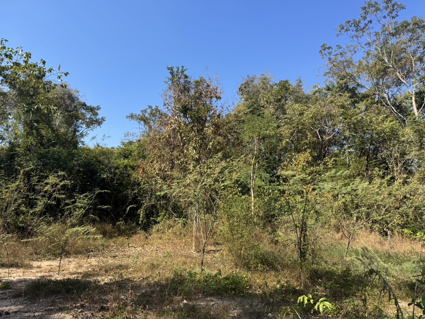 (🔴 ปิดการขาย) ที่ดินนครนายก วิวภูเขา แปลงเล็ก 62 ตร.ว. ต.เขาพระ อ.เมือง จ.นครนายก