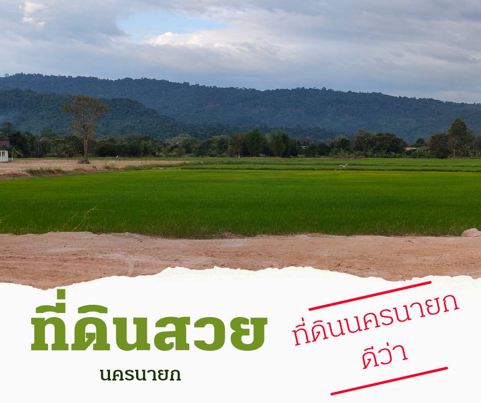 ที่ดินนครนายก วิวภูเขา ขนาด 2 ไร่ 1 งาน อยู่ใกล้ ภูตะลึง คาเฟ่ เหมาะทำธรุกิจรีสอร์ท คาเฟ่