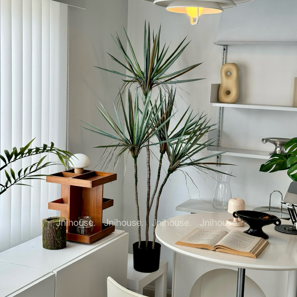 [พร้อมส่ง] Jnihouse : Dragon Tree ต้นไม้ประดิษฐ์ ขนาดสูง 130 cm (Tree)