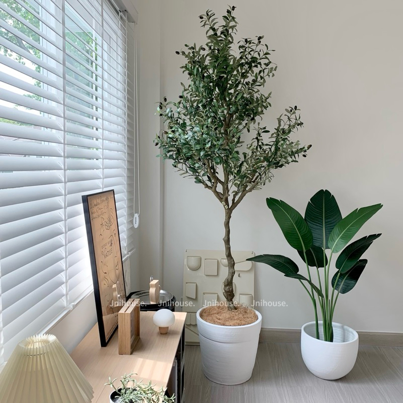 [พร้อมส่ง] Jnihouse : ต้นมะกอกประดิษฐ์สูง 210 cm (Artificial Olive tree)