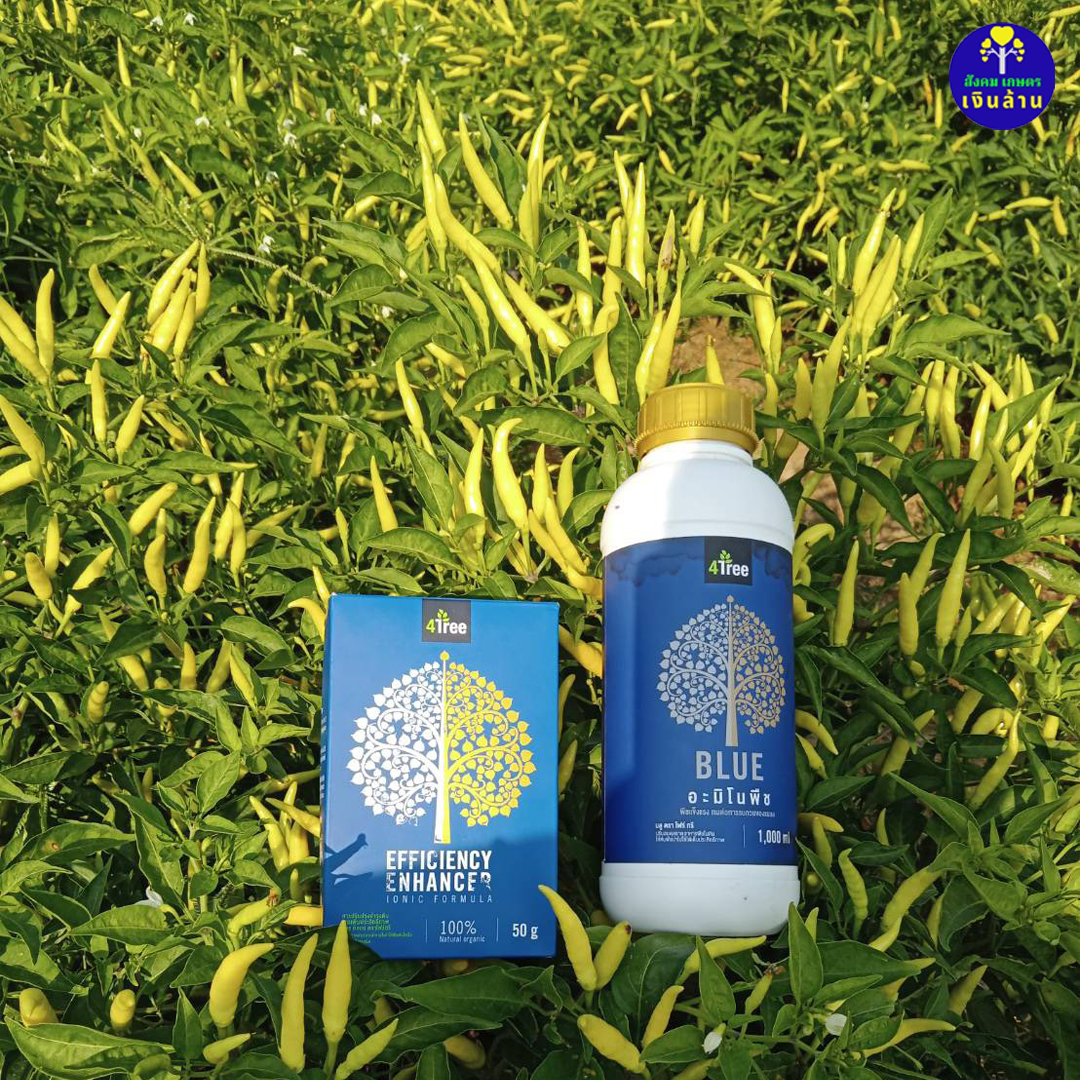 อะมิโนพืช บลู Amino BLUE : จุลินทรีย์ฮอร์โมน สูตรพิเศษ (4tree)