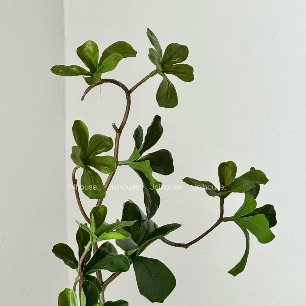 [พร้อมส่ง] Jnihouse : กิ่งไม้ประดิษฐ์ใบเขียวสูง 70cm (Premium Faux Leaf Branch)(Tree)