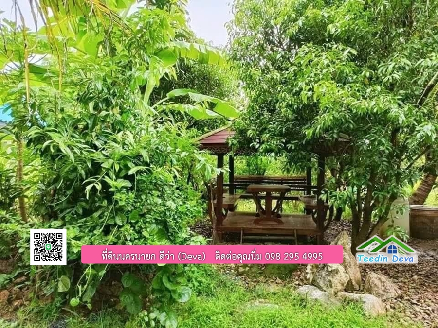 บ้านสวนผลไม้ สามารถเก็บผลผลิตได้เลย พื้นที่ 2 ไร่ 1 งาน อ.ปากพลี จ.นครนายก