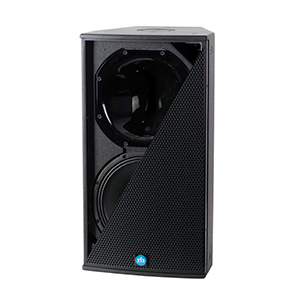 RENKUS-HEINZ CX121 Passive Loudspeaker 12″