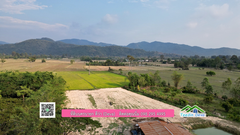 ที่ดินนครนายก วิวทุ่งนาต้นยางสวยๆ ขนาด 4 ไร่ ราคาไร่ละ 1.5 ล้าน ต.เขาเพิ่ม อ.บ้านนา จ.นครนายก