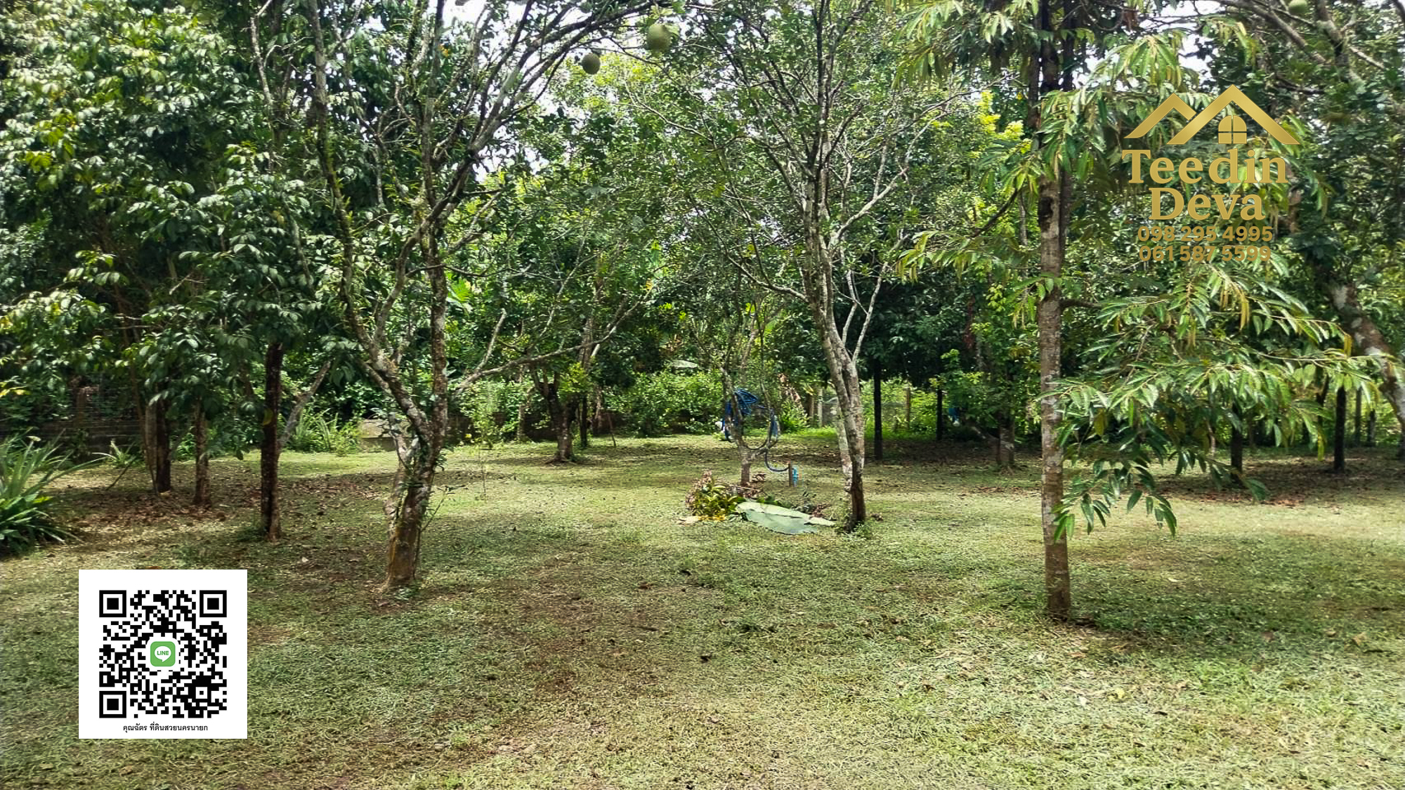 🌿 บ้านสวนในฝัน พร้อมอยู่ ใกล้เขื่อนขุนด่าน เนื้อที่ 1 ไร่ ต.สาริกา อ.เมือง จ.นครนายก 🏡