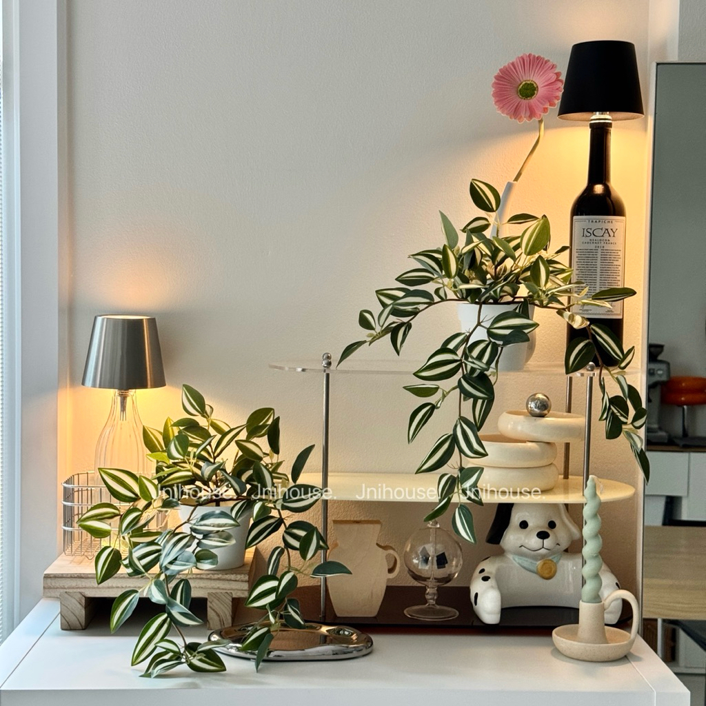 [พร้อมส่ง] Jnihouse : (รุ่นยาว)ต้นก้ามปูด่างประดิษฐ์+กระถางพลาสติกขาว