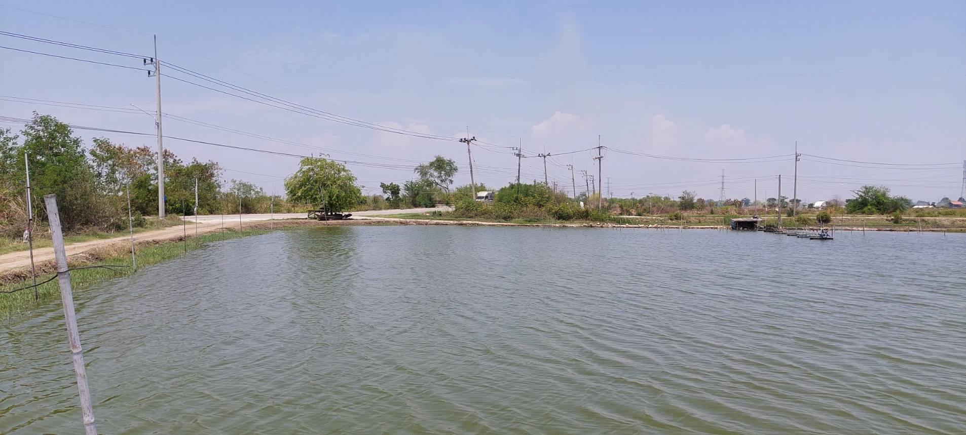 • ขาย ที่ดิน เนื้อที่ 8 ไร่ ถนนจรัญยานนท์ อำเภอบางปะกง ฉะเชิงเทรา • เป็นที่ดินบ่อกุ้ง/บ่อปลา อยู่ติดคลองสำโรง ใกล้ถนนบางนา-ตราด • เหมาะสำหรับธุรกิจบ่อตกปลา/ตกกุ้ง เลี้ยงปลาเลี้ยงกุ้ง หรือร้านอาหาร.