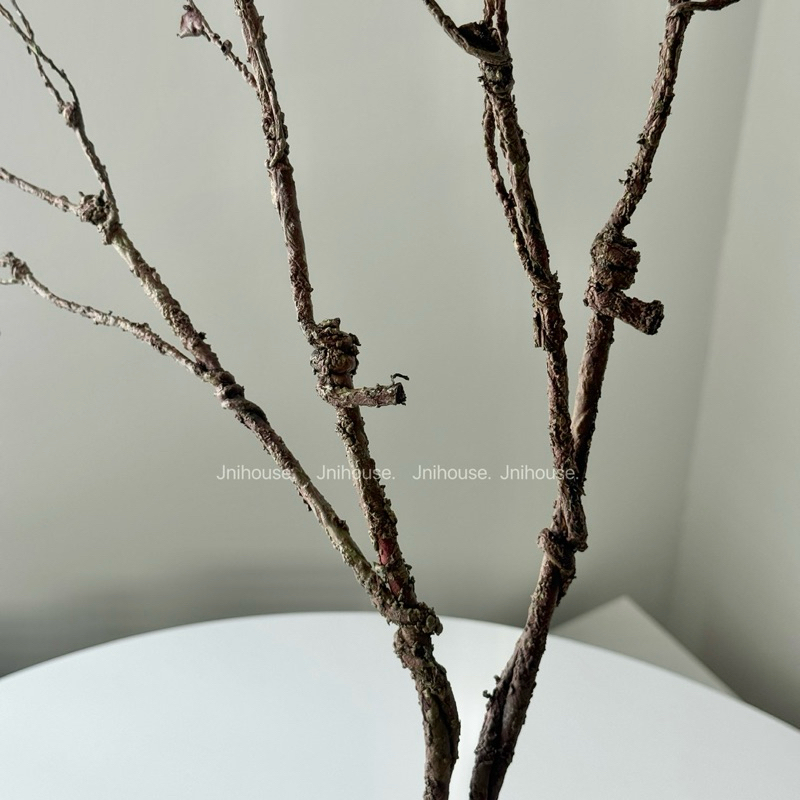 [พร้อมส่ง] Jnihouse : กิ่งไม้ประดิษฐ์สูง 70 cm (มีใบจิ๋วๆที่ปลายก้าน)