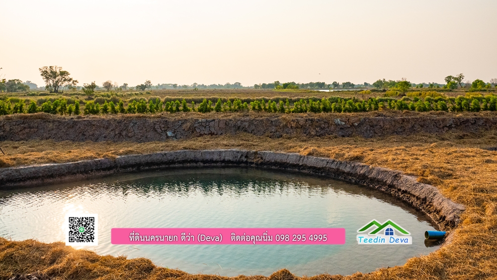 🌿 ที่ดินสวยๆ ขนาด 2 ไร่ พร้อมน้ำไฟ ดินดี น้ำดี อากาศดี มีเพื่อนบ้าน ณ ต.ปากพลี อ.ปากพลี จ.นครนายก