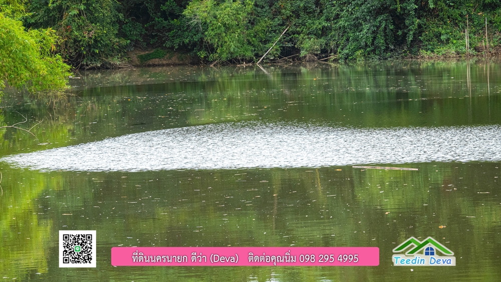 ที่ดินนครนายก ติดแม่น้ำ 14 ไร่ พื้นที่ติดแม่น้ำ 400 เมตร ชมลำธารสวยๆ บรรยากาศสบายๆ ต.สาริกา อ.เมือง จ.นครนายก