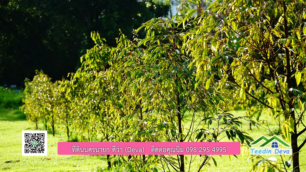 (ðī āļāļīāļāļāļēāļĢāļāļēāļĒ) āļāļĩāđāļāļīāļāļāļāļĢāļāļēāļĒāļ āļāļīāļāļĨāļģāļāļēāļĢ āļāļĨāļđāļāļāļĨāđāļĄāđ 8 āđāļĢāđ 2 āļāļēāļ āļ.āļŠāļēāļĢāļīāļāļē āļ.āđāļĄāļ·āļāļ āļ.āļāļāļĢāļāļēāļĒāļ