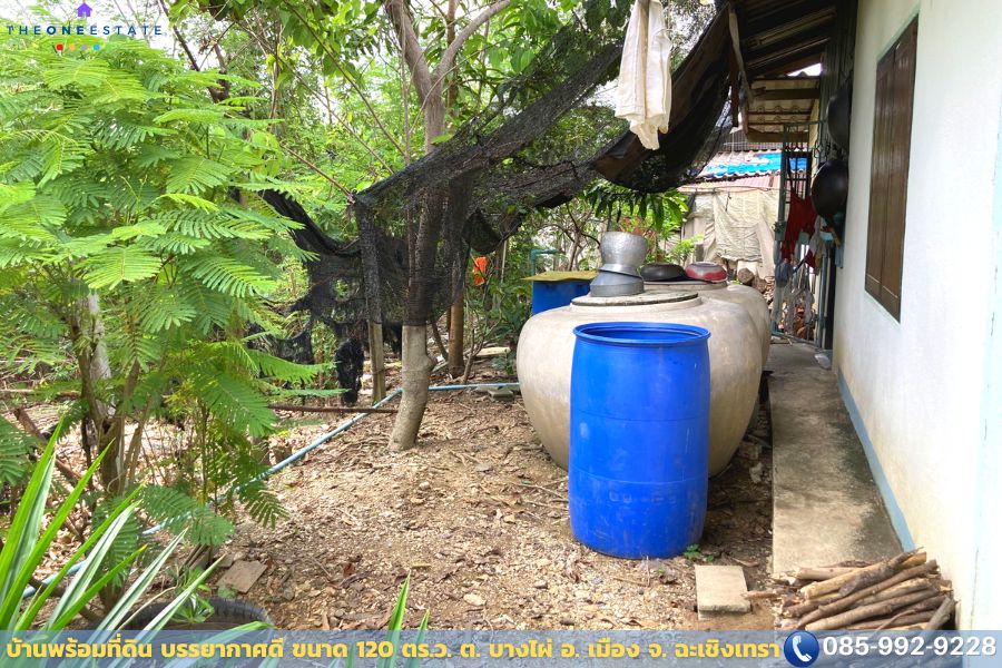 🌿ขายบ้านเดี่ยวพร้อมที่ดิน 120 ตร.ว. ใกล้ตัวเมืองแปดริ้ว บรรยากาศร่มรื่น เหมาะสำหรับนักลงทุนและครอบครัวที่มองหาบ้านหลังใหม่!