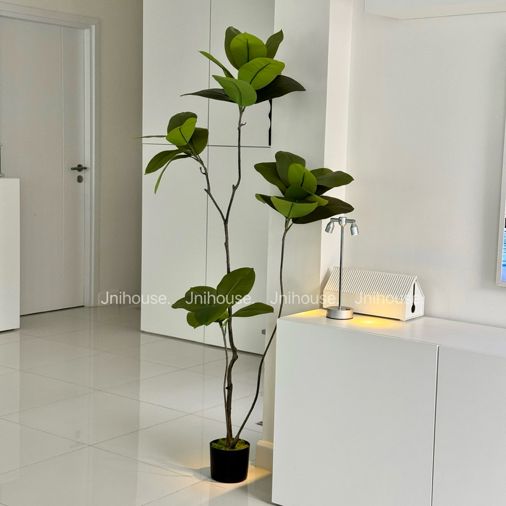 [พร้อมส่ง] Jnihouse : ต้นยางอินเดียประดิษฐ์ ขนาดสูง 160 cm (Tree)