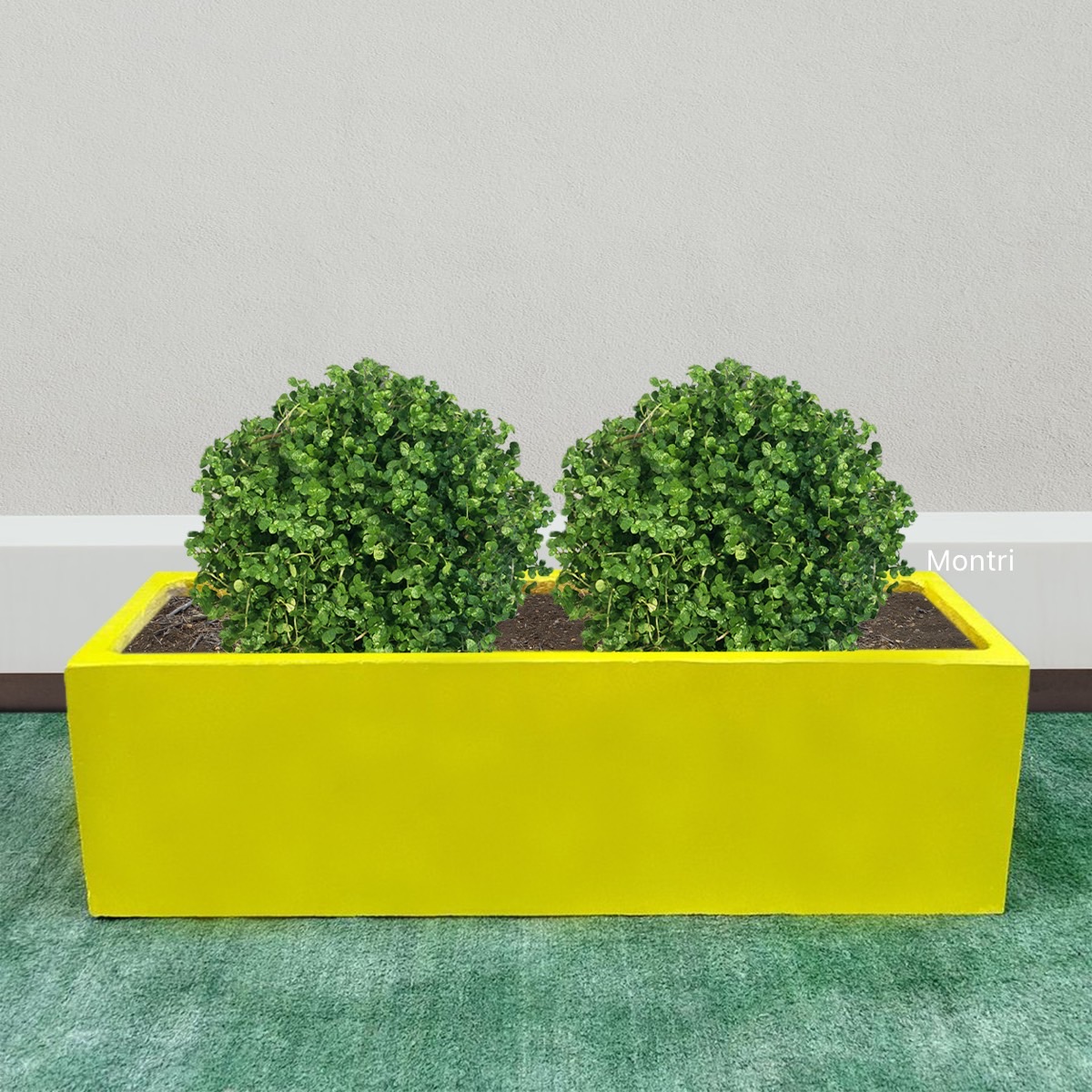 กระถางต้นไม้ กระถางทรงรางยาว set 10 ใบ ลงสีคุณภาพพร้อมเคลือบเงาสามารถวางได้ทั้งกลางแจ้งและในร่ม ขนาด 30*100* cm. วัสดุเป็นปูน