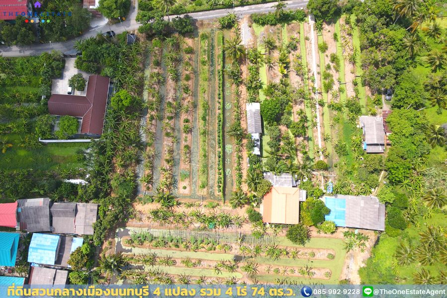 📣 ที่ดินสวนกลางเมืองนนทบุรี ใกล้ MRT-บางรักใหญ่ ใกล้เซ็นทรัลเวสต์เกต ใกล้ ถ.รัตนาธิเบศร์ เดินทางสะดวกมาก The Best ! | โทร. 085-992-9228
