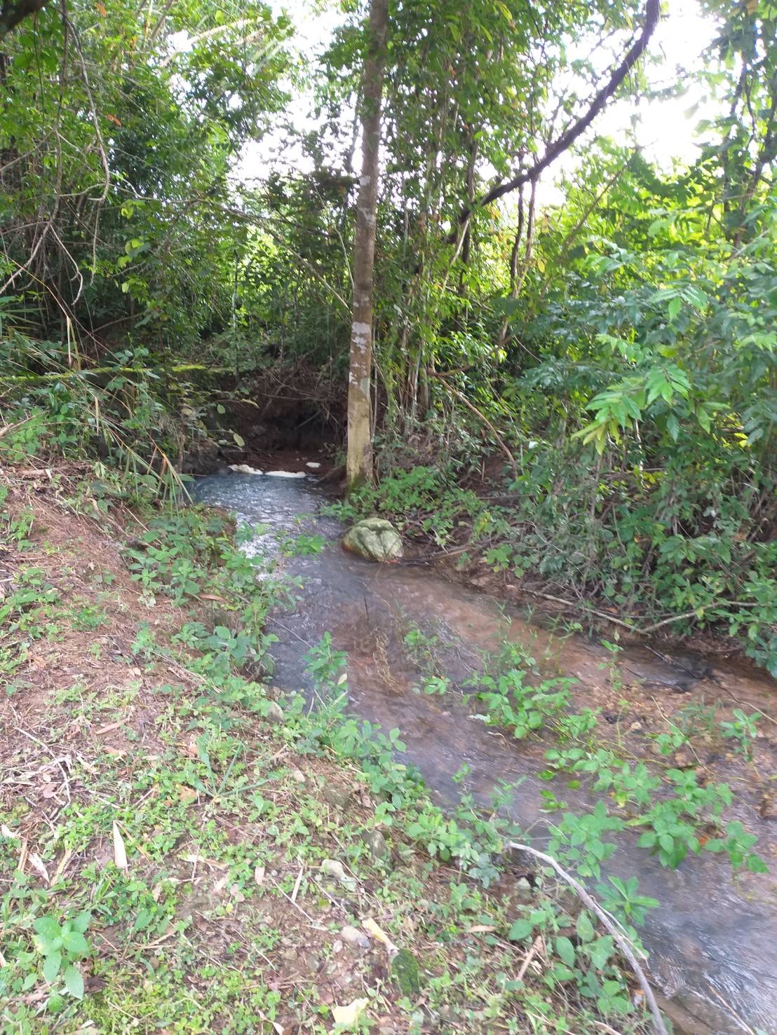 🏞️ “ผืนธรรมชาติกลางหุบเขา” 12 ไร่ 2 งาน 93.3 ตร.วา – ต.สาริกา อ.เมือง จ.นครนายก 🌳