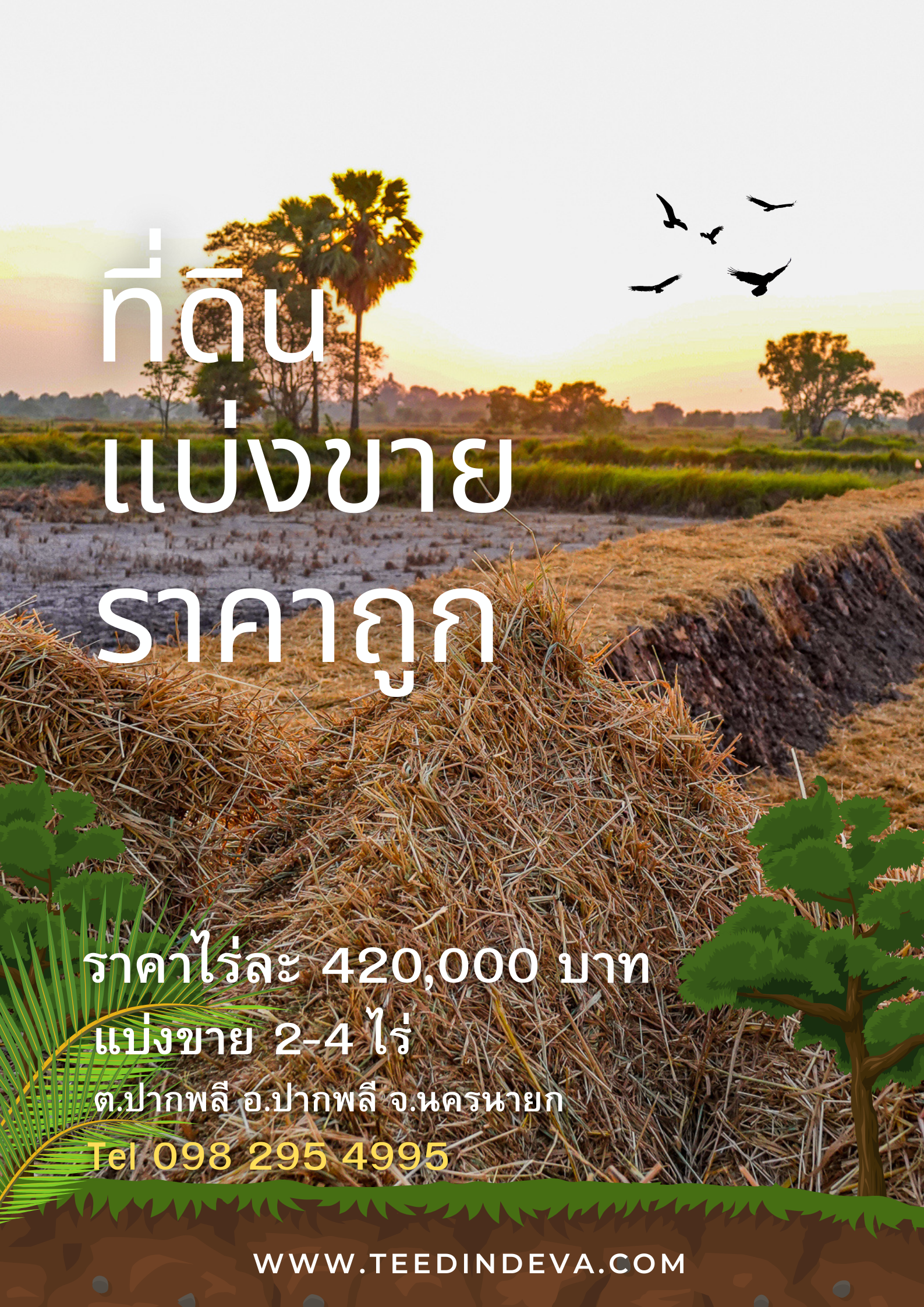 🌿 ที่ดินสวยๆ ขนาด 2 ไร่ พร้อมน้ำไฟ ดินดี น้ำดี อากาศดี มีเพื่อนบ้าน ณ ต.ปากพลี อ.ปากพลี จ.นครนายก