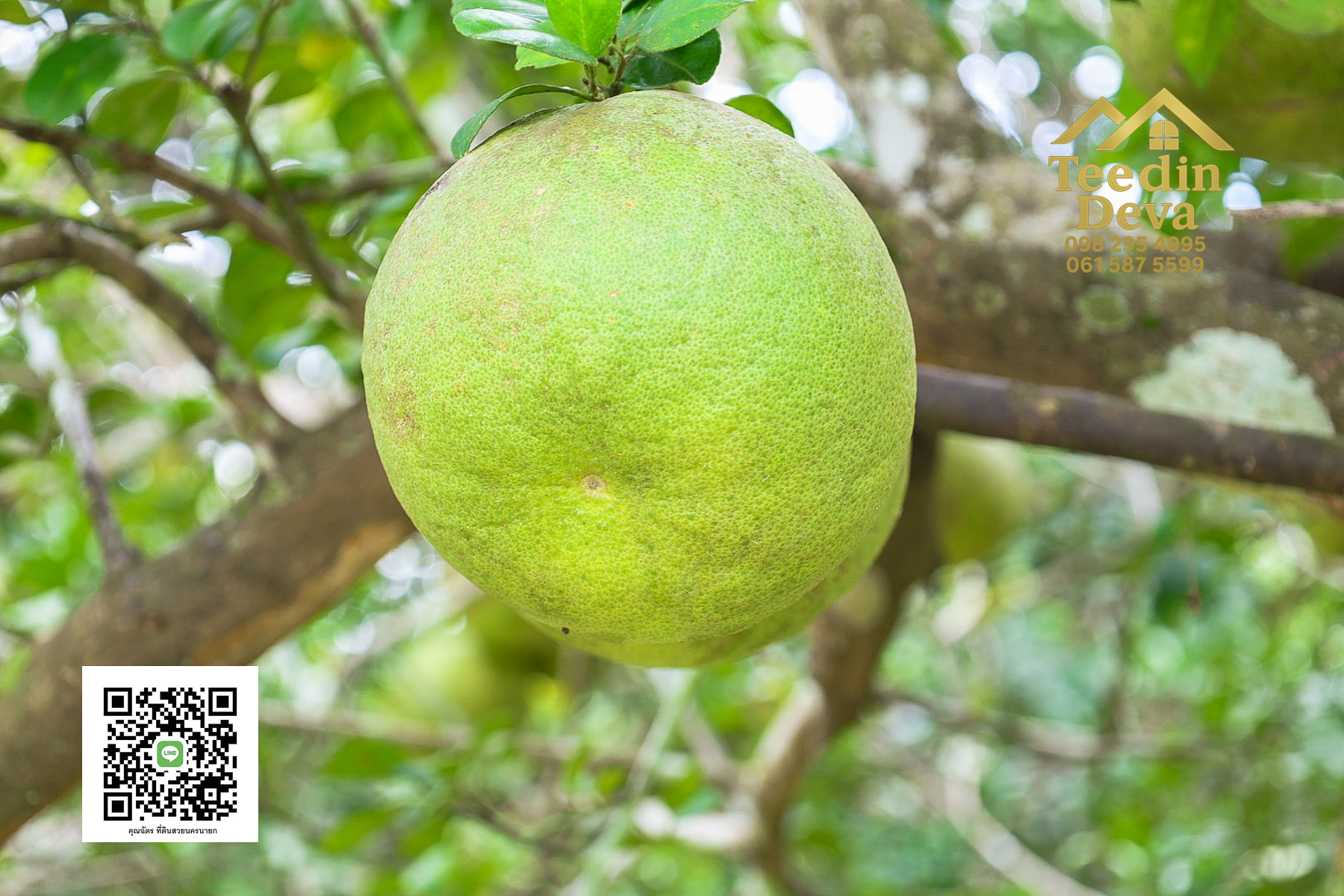 ที่ดินนครนายก วิวภูเขา ติดลำธาร ใกล้เขาใหญ่ ขนาด 1 ไร่ ทำเลดี ต.นาหินลาด อ.ปากพลี จ.นครนายก