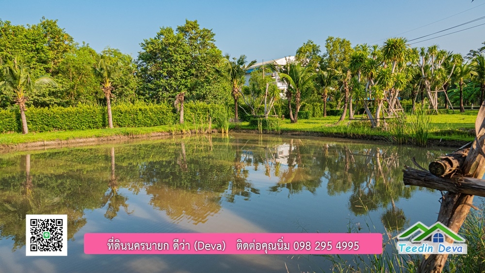 ขายบ้าน ทำเลธุรกิจ สามารถประยุกต์เป็นร้านอาหาร และคาเฟ่